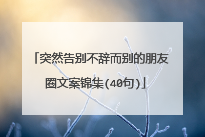 突然告别不辞而别的朋友圈文案锦集(40句)
