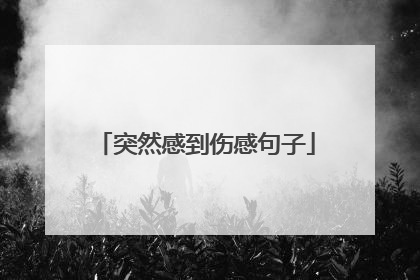 突然感到伤感句子