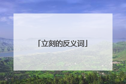 立刻的反义词