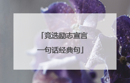 竞选励志宣言一句话经典句