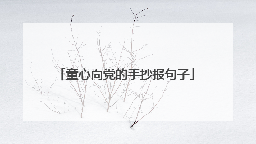 童心向党的手抄报句子