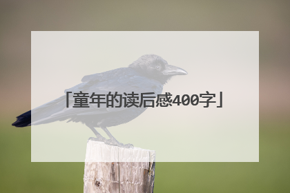 童年的读后感400字
