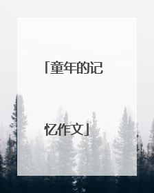 童年的记忆作文