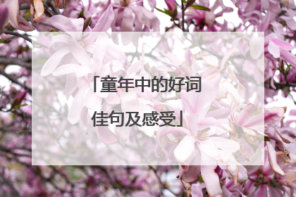 童年中的好词佳句及感受