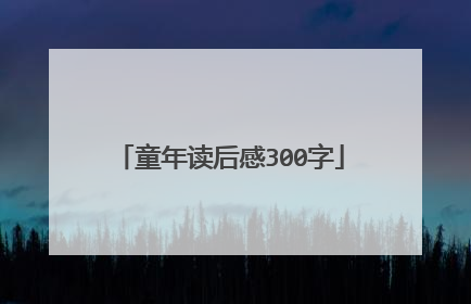 童年读后感300字