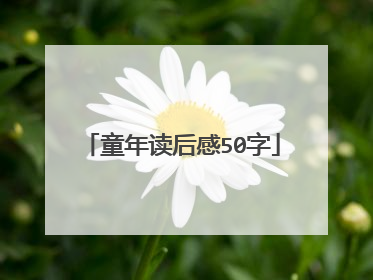 童年读后感50字