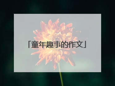 童年趣事的作文