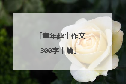 童年趣事作文300字十篇