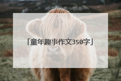 童年趣事作文350字