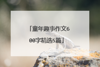 童年趣事作文600字精选5篇