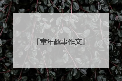 童年趣事作文