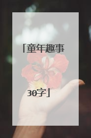 童年趣事30字