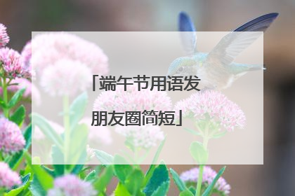 端午节用语发朋友圈简短