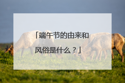 端午节的由来和风俗是什么?
