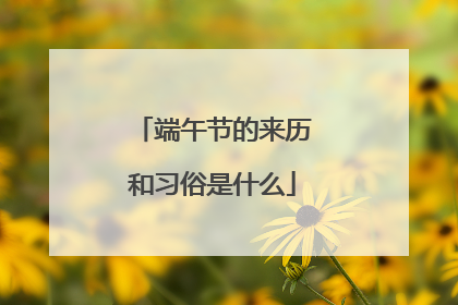 端午节的来历和习俗是什么
