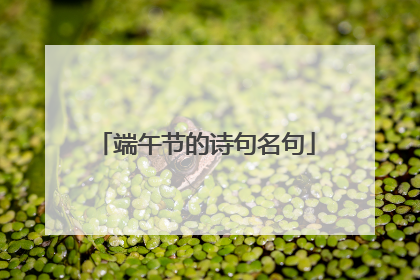 端午节的诗句名句