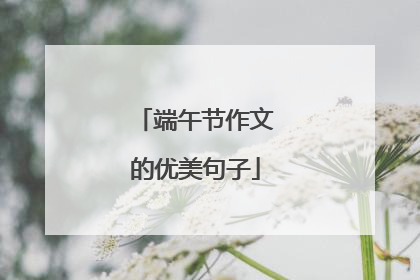 端午节作文的优美句子