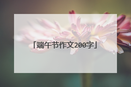 端午节作文200字