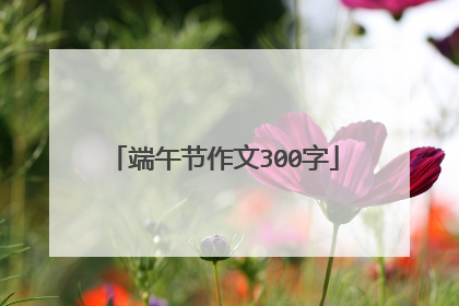 端午节作文300字
