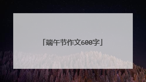 端午节作文600字