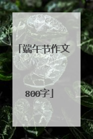 端午节作文800字