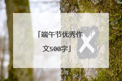 端午节优秀作文500字