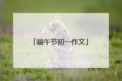 端午节初一作文