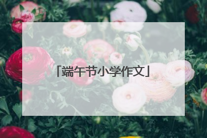 端午节小学作文