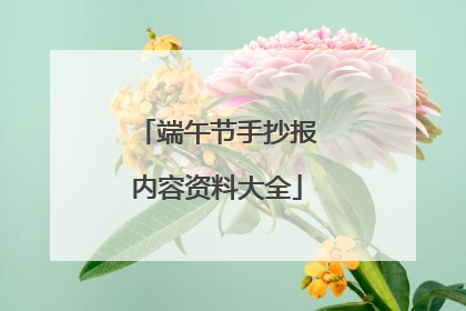 端午节手抄报内容资料大全