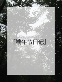 端午节日记