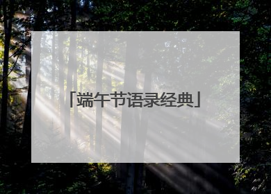 端午节语录经典