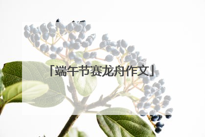 端午节赛龙舟作文
