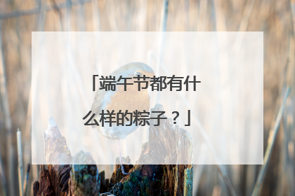 端午节都有什么样的粽子?