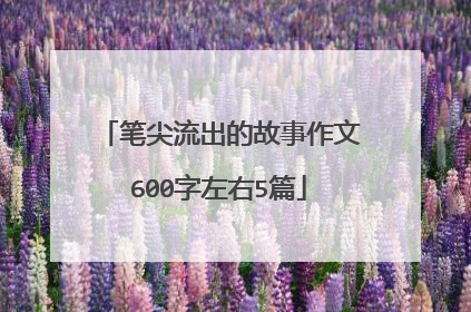 笔尖流出的故事作文600字左右5篇