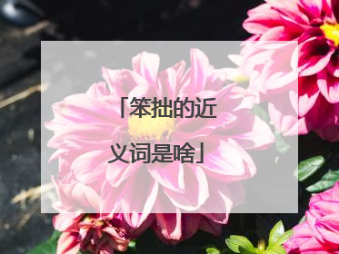 笨拙的近义词是啥