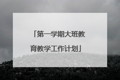第一学期大班教育教学工作计划