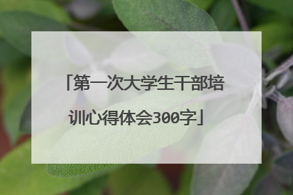 第一次大学生干部培训心得体会300字