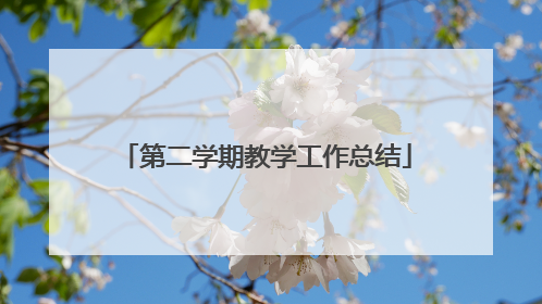 第二学期教学工作总结