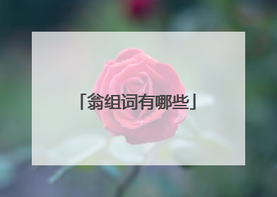 翁组词有哪些