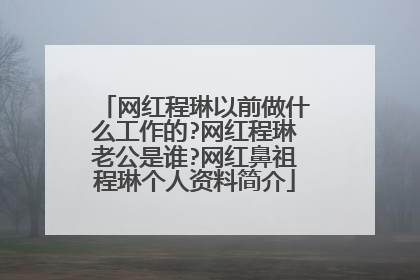 网红程琳以前做什么工作的?网红程琳老公是谁?网红鼻祖程琳个人资料简介