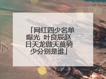 网红四少名单曝光 叶良辰赵日天龙傲天莫骑少分别是谁