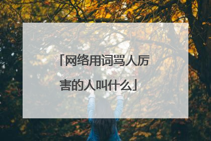 网络用词骂人厉害的人叫什么