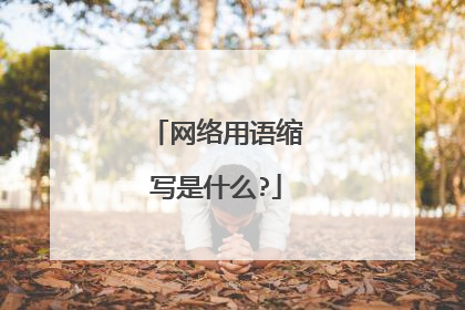 网络用语缩写是什么?