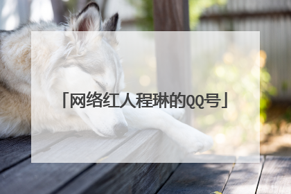 网络红人程琳的QQ号