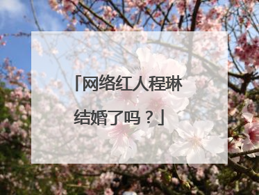 网络红人程琳结婚了吗？