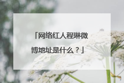 网络红人程琳微博地址是什么？