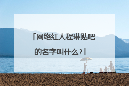 网络红人程琳贴吧的名字叫什么?