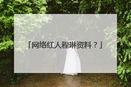 网络红人程琳资料?