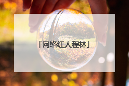 网络红人程林