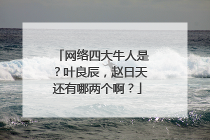 网络四大牛人是？叶良辰，赵日天还有哪两个啊？
